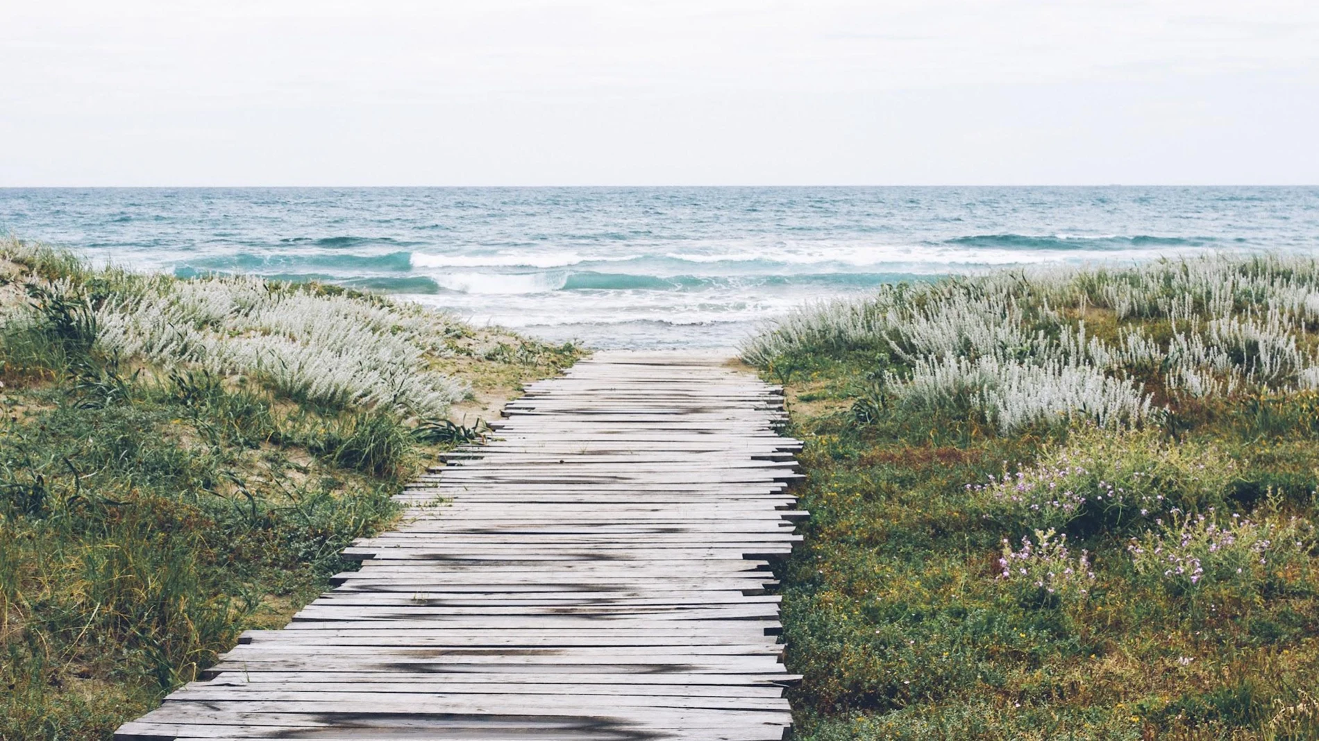 Chemin de bois entre les dunes vers la mer