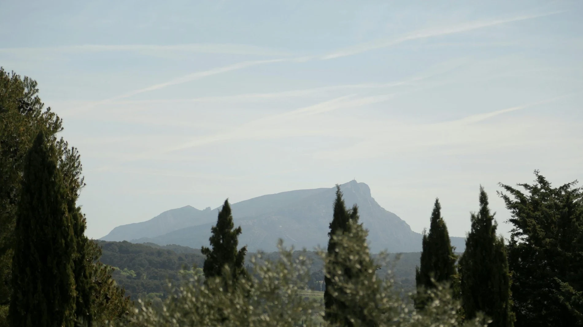 Paysage provençal, oliviers et cyprès